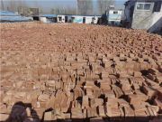 烧结页岩多孔砖